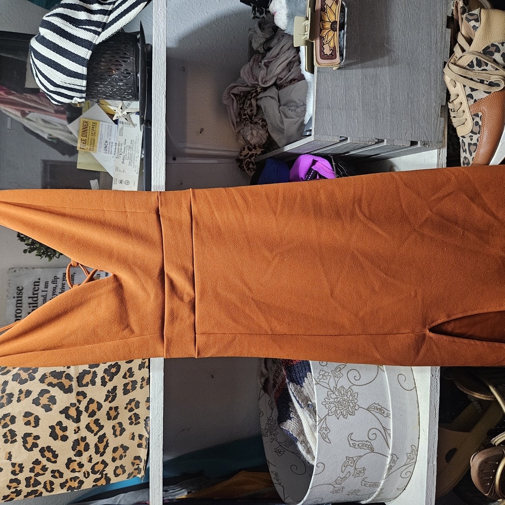 Windsor Orange Sleeveless Jumpsuit with V-Neckline